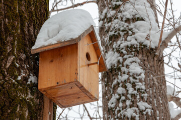 House for wild birds on a tree in snow caps