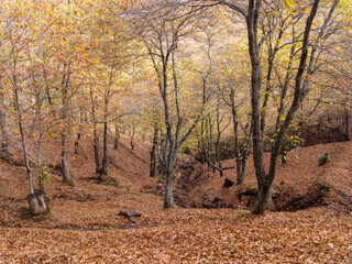 estaci&oacute;n del oto&ntilde;o en el valle del Genal, Andaluc&iacute;a