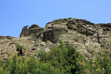 Beautiful rocks in the summer forest.