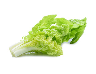 Salad leaf. Lettuce isolated on white background.
