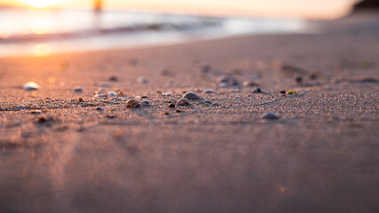 Strand Sonnenuntergang close up steine und Muscheln