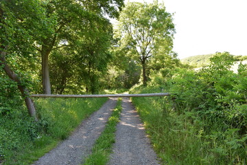 Wald, Tiere, Wiesen im sch&ouml;nen Wetter