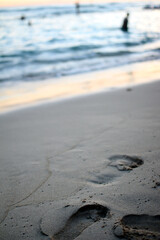 hawaii Travel sea