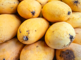Thai yellow mango fruit selling background tropical fruits