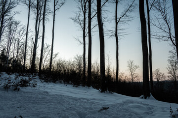 Zimowy pastelowy zachód słońca