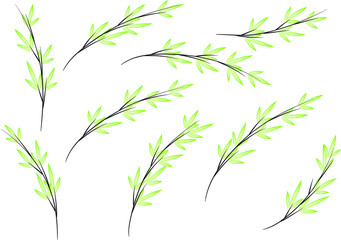 Obraz premium vector design bamboo icon background