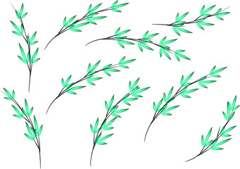 Naklejka premium vector design bamboo icon background