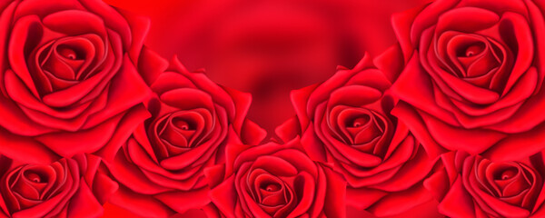 Beautiful red background for postcards and graphic works. Bright roses on a red background. Background, banner, space for text.