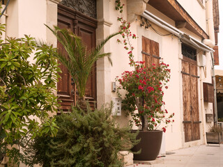 Traditional mediterranean house wall with wooden doors, shuttered window and potted plants