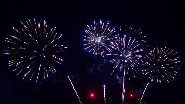Independence Day Fireworks on National Holiday. Black Background.