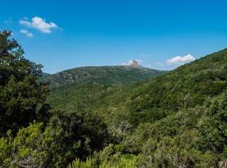 Overview of the National Park of Barbagia with limestone tower of Perda Liana, impressive rock formation on green forest hill, sardinian table mountain. Central Sardinia, Italy, summer day