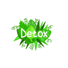 Detox lettering with green leaves. Vector illustration.