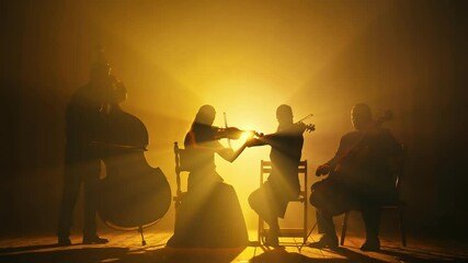 Silhouettes of Musicians Playing the Violin, Cello, Double Bass on the Big Stage of the Concert Hall in the Smoke on a Dark Background. - Powered by Adobe