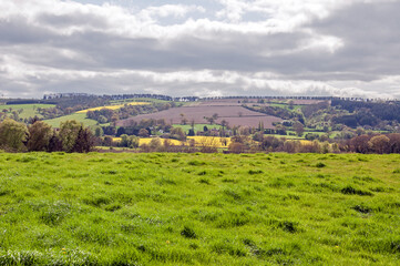 Summertime view of the countryside