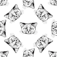 Seamless pattern of hand drawn sketch style sand cats isolated on white background. Vector illustration.