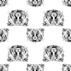 Seamless pattern of hand drawn sketch style Pallas's cats isolated on white background. Vector illustration.