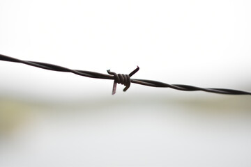 Selective focus shot of a barbed wire captured during the daytime - imprisonment/ restrictions