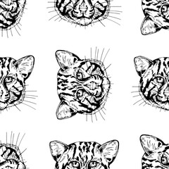 Seamless pattern of hand drawn sketch style fishing cats isolated on white background. Vector illustration.