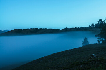 Fototapeta premium Atmospheric mountain landscape with silhouette of tree on hill above dense fog under twilight sky. Alpine scenery with hills silhouettes over thick fog in night. Big low cloud among hills in dusk.