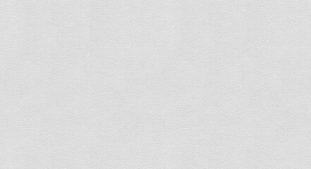 Watercolor paper texture. Abstract background. Textured card backdrop. Close up, macro photography. Vintage style.  Canvas, wall, cover, grain wallpaper, wrapping. Black and white, grey color