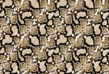 Seamless crocodile skin pattern, animal print.