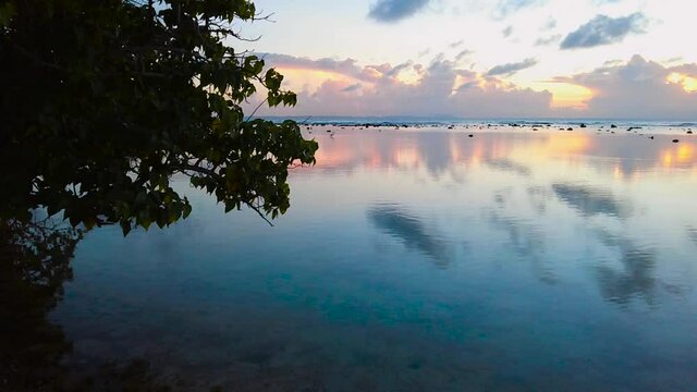 This is a High Definition slow-motion video, 29.97 fps, at Datiles Beach in Culebra, Puerto Rico, moving from trees towards calm waters at sunset with a sea bird and reef breaks in the distance