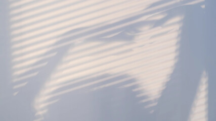 shadows on the wall from a window closed with blinds and a woman's silhouette. Blurry dark shadows...