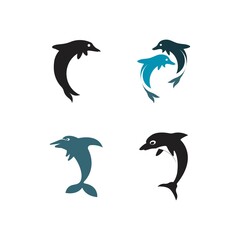 Dolphin logo icon