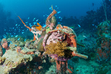 Wreckage of a sunken ship