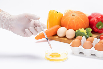 Closeup of a scientist injecting toxic substances into an egg in a laboratory