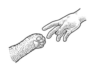 hand reaches for the paw of the cat sketch engraving vector illustration. T-shirt apparel print design. Scratch board imitation. Black and white hand drawn image. © Oleksandr Pokusai