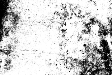 Fototapeta premium 20161106_151908Hor