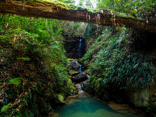 【高知】伊尾木洞の景色
