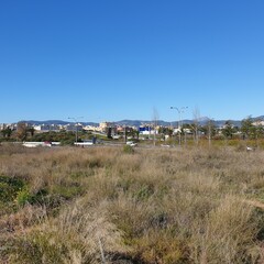 outdoor photo field and city