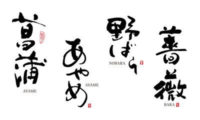 Naklejka premium あやめ 菖蒲 野ばら 薔薇 ばら 筆文字 デザイン書道 花の名前シリーズ