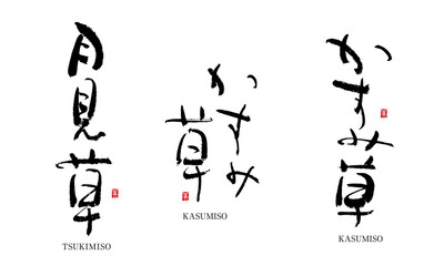 月見草　つきみそう　かすみ草　筆文字 デザイン書道　花の名前シリーズ