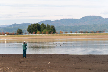山形県　徳良湖で野鳥を撮影する女性カメラマン