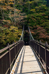 栃木県　塩原温泉　紅の吊り橋