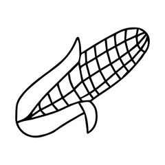 Black hand-drawn outline vector illustration of a corn isolated on a white background for holiday or dinner for cooking book