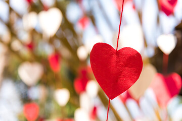 Red and white heart-shaped paper was tied by a string to hang on the tree for Valentine's Day love festival.