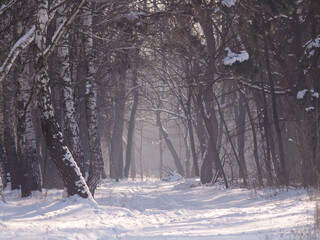 View on the winter nature in Ukraine