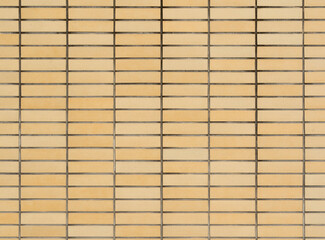 Texture: Wall of an apartment building, Japan