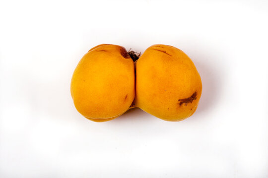 Ugly funny ripe tasty accrete apricot on a white background.