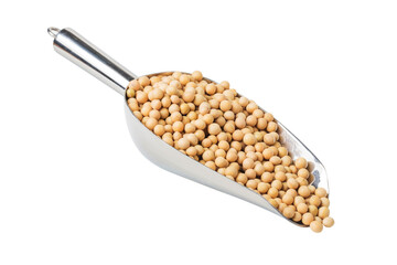 soybean
