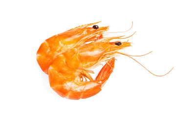 two shrimps white background