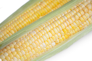Fresh sweet corn isolate on white background