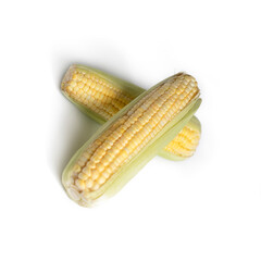 Fresh sweet corn isolate on white background