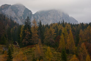 Wooden cabin in mountains with colored trees in autumn colours