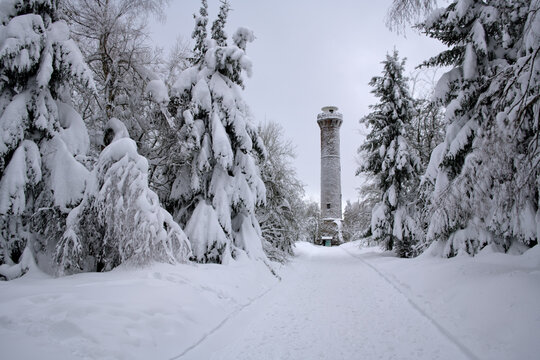 Der Hohlohturm am Kaltenbronn im verschneiten Winter
