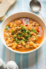 Pork goulash with vegetables soup 